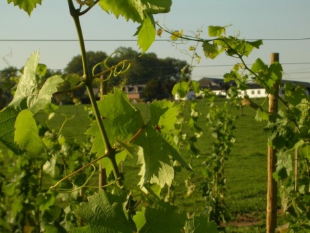 Domaine du Ry d'Argent